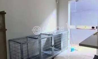 Imagem 4: Imóvel Comercial para aluguel, Santa Mônica - Uberlândia/MG