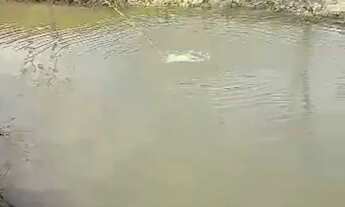 Imagem 7: Venda-se está chácara de 5.000 mil m² no Município de Mimoso do Sul/ES