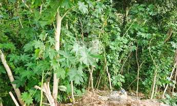 Imagem 4: Loteamento à venda em Roseira - SP