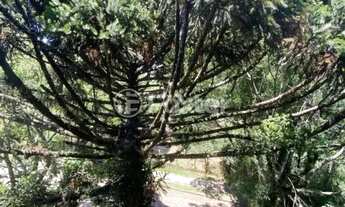 Imagem 3: Cobertura à venda Rua Doutor Rodrigues Alves, Chácara das Pedras - Porto Alegre