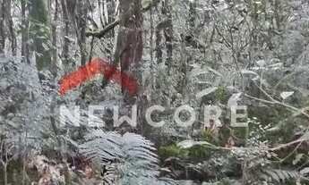 Imagem 5: Lote em Rua São Gotardo - São Bernardo - São Francisco de Paula/RS