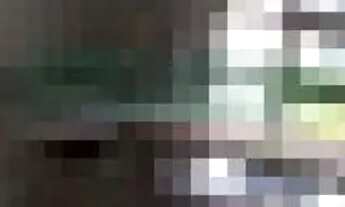 Imagem 5: GALPÃO - CHÁCARA SANTO ANTONIO - SP