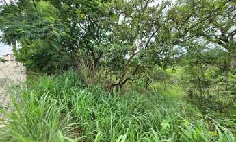 Imagem 4: Lote à Venda no Jardim Botânico