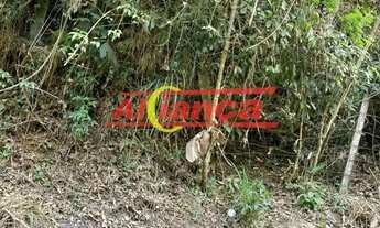 Imagem 5: Terreno com 5860 m² à Venda - Chácara das Lavras - Capelinha - Guarulhos