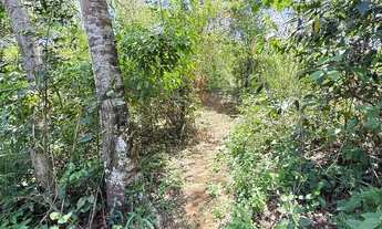 Imagem 5: Vendo chacara com 30.000m2 com plator na pedra e vista para o mar, vila velha e guarapari