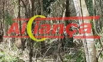 Imagem 4: MAIRIPORA TERRENO MIL METROS QUADRADOS