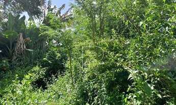 Imagem 3: Terreno à venda, 1799 m² por R$ 1.800.000,00 - Parque Alexandre - Cotia/SP