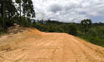 Imagem: Área 20.003m² Campo Largo, Bateias, doc