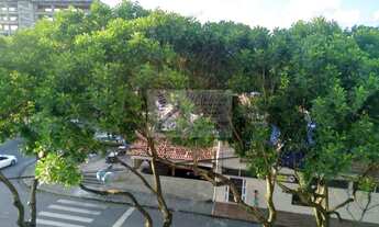 Imagem 6: YOCOHAMA C GRANDE