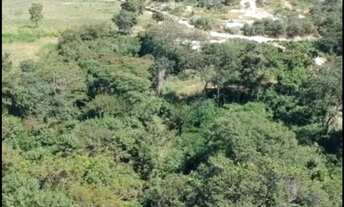 Imagem 3: Beira do rio São Francisco (terreno