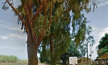 Imagem 3: Área Rural para Venda em Setor Central Ipameri-GO - 1951