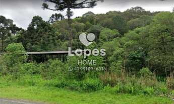 Imagem 4: Área de terra a venda em Campo Largo, 6 alqueires ou 145.200 m² - Comercial ou residencial