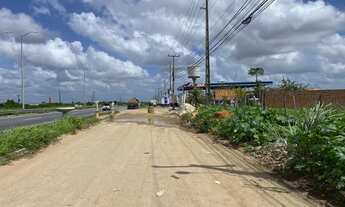 Imagem 7: Terreno com 3.250 m2 na BR 304