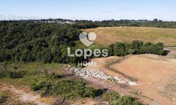 Imagem 6: Terreno a venda em Colombo, 20.000 m²