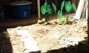 Imagem 5: Casa com 3 dormitórios à venda por R$ 80.000 - Nordeste ll - Guarabira/PB