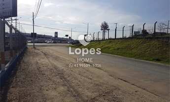 Imagem 4: Terreno Comercial/Industrial na Linha Verde