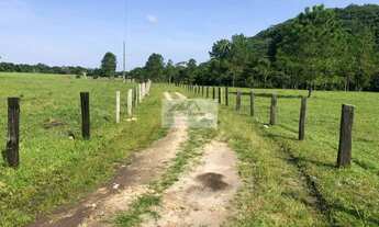Imagem: Chácara à venda no bairro Centro - Araquari/SC