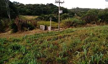 Imagem 4: Sitio 3alqueires