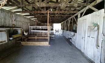 Imagem 5: Sítio à venda, Sanga Funda - Nova Santa Rita/RS