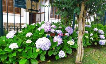 Imagem 4: Apto. Cônego 3 quartos, sendo 1 suíte, 128 m²