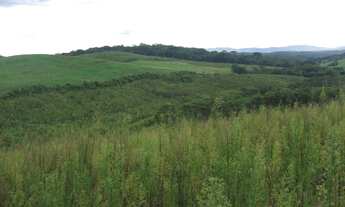 Imagem 5: FAZENDA com 1 dormitório à venda com 761574m² por R$ 10.000.000,00 no bairro Centro - BOCA
