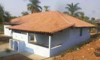 Imagem 5: Fazenda 12 Alqueires Próxima a Lajeado, com Pasto # Fazenda de 12 Alqueires - Pasto - Pró