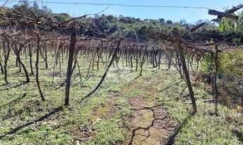 Imagem 2: GARIBALDI - Chácara - Vale Dos Vinhedos