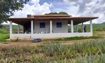 Imagem 3: FAZENDA 9 ALQUEIRES MUNICIPIO JARAGUA CULTURA