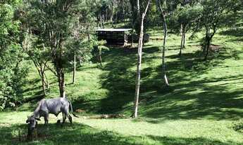 Imagem: Chácara para Venda em São Bento do Sul