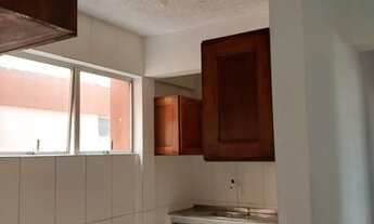 Imagem 6: Alugo Apartamento Residencial Ipanema