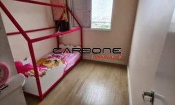 Imagem 7: SãO PAULO - Padrão - Belém