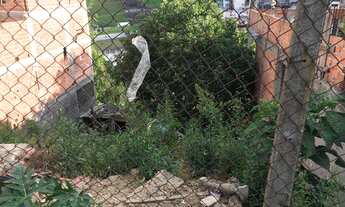 Imagem 4: Vendo terreno Barueri - oportunidade abaixo do valor de mercado