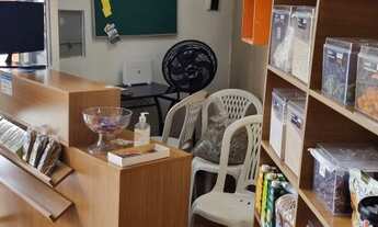 Imagem 5: Vendo Empório Galpão / depósito com venda por R$25.000