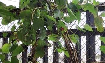 Imagem 6: Apartamento Face Norte para venda tem 128 metros, 3 suítes, terraço gourmet, 2 vagas e laz