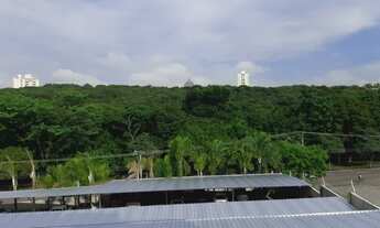 Imagem 7: Apartamento - Bosque dos Eucaliptos - Spazio Campo Lazio - 3 Dormitórios - 63m²