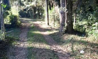 Imagem 2: Chácara ótima oportunidade