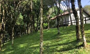 Imagem 6: Chácara para Venda em São Bento do Sul, Rio Vermelho Povoado, 2 dormitórios, 1 banheiro