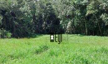 Imagem 5: Sítio à venda, 400000 m²- Zona Rural - Bocaina de Minas/MG