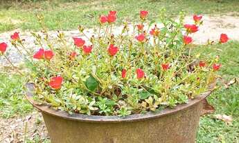 Imagem 2: Aluguel chalé no sítio final de semana