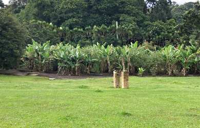 Imagem 4: VC - Vendo Terreno de 1.200m2, com negociação Facilitada