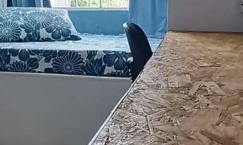 Imagem 4: Casa, aluguel até novembro!