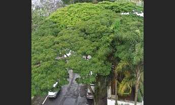 Imagem 5: Apartamento com 2 dormitórios para alugar, 58 m² por R$ 3.043,00/mês - Vila Guarani (Zona