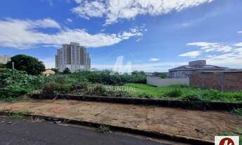 Imagem 3: Terreno (terreno normal