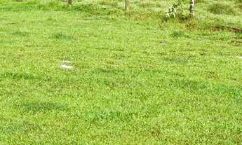 Imagem 5: Ml - Vendo Terreno para lazer e tranquilidade