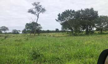 Imagem 2: Fazenda 61 alqueires otima Logistica