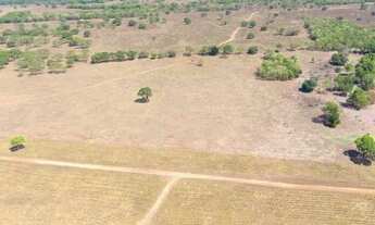 Imagem 5: Fazenda em Silvanopolis. Dupla aptidão