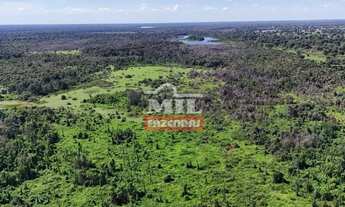 Imagem 7: Fazenda 150 Alqueires (726 Hectares) Britania - GO