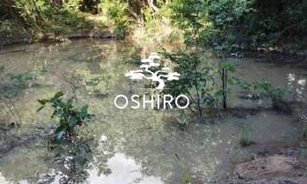 Imagem 6: Vendo 5 Alqueires, sendo 24.2 Hectares Eem ARAGUAPAZ - GO - CÓD. 14002