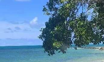 Imagem 4: Terrenos na praia de Ponta de Pedras ..