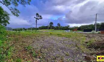 Imagem 5: Terreno para Venda em Nova Petrópolis, Logradouro